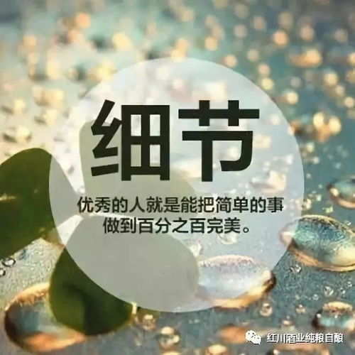 (励志女生头像小清新图片)用励志少女头像激发内心力量,展现自信自强女性魅力。