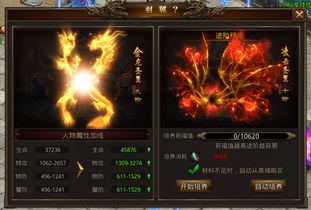 (龙腾传世羽化要多少羽毛)龙腾传世羽毛升级数据详解:升级方法、效果分析以及最新资讯