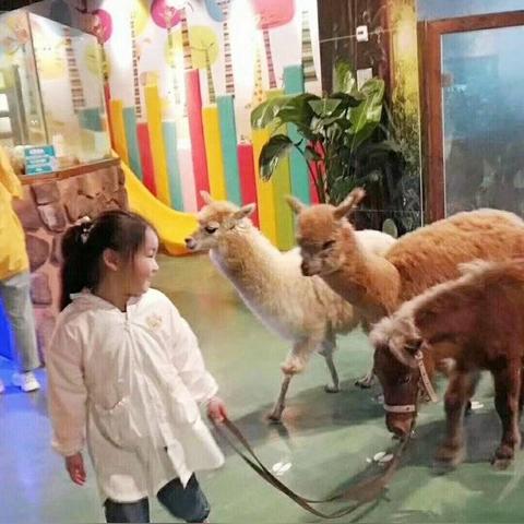 (开心部落改名叫了什么名字?新名字让人期待了)开心部落改名叫了什么名字?新名字让人期待! (开心部落改名叫了什么名字?新名字让人期待了)开心部落改名叫了什么名字?新名字让人期待!