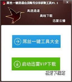 如何安全使用和共享迅雷账号密码,确保个人信息安全与流畅下载体验