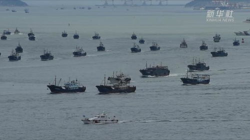 (福建渔船沉没)2024年1月31号福建沿海渔船停航,渔业受冲击,导致捕鱼产量骤降