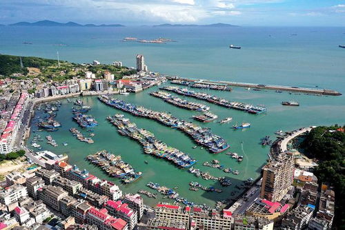 (福建渔船沉没)2024年1月31号福建沿海渔船停航,渔业受冲击,导致捕鱼产量骤降 (福建渔船沉没)2024年1月31号福建沿海渔船停航,渔业受冲击,导致捕鱼产量骤降