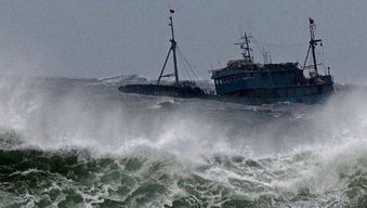 (福建渔船沉没)2024年1月31号福建沿海渔船停航,渔业受冲击,导致捕鱼产量骤降 (福建渔船沉没)2024年1月31号福建沿海渔船停航,渔业受冲击,导致捕鱼产量骤降