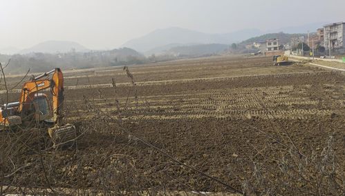 (改造良田)这城有良田修改器：提升农田产量，改善土壤质量的有效工具