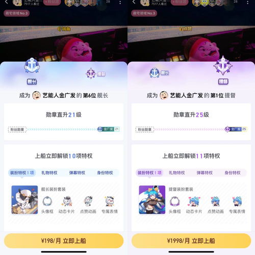 兔宝妮铁粉空间付费内容：全面揭秘粉丝独享的高级会员权益和福利