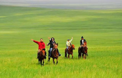 骑着马走来走去是什么歌?这首脍炙人口的马舞曲藏着什么故事?让我们一起揭开它的神秘面纱!