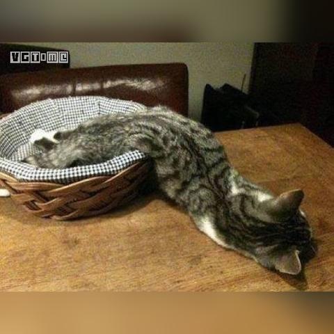 终极挑战：雷电王座boss攻略大揭秘，打败守护者占据王座的必备技巧