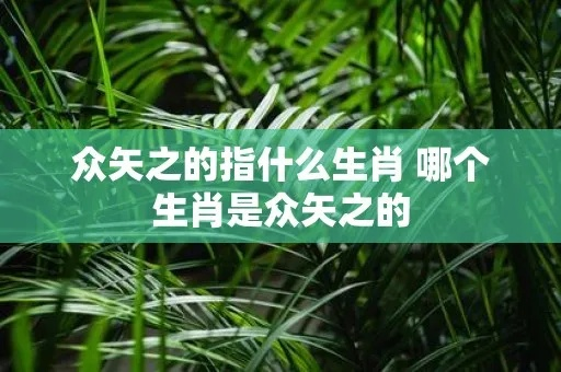 (众矢之的的之是什么用法)众矢之的之是什么意思解释及用法详解