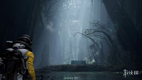 探秘无间游戏的惊天秘密：背后的黑暗真相和无尽挑战等待着勇者