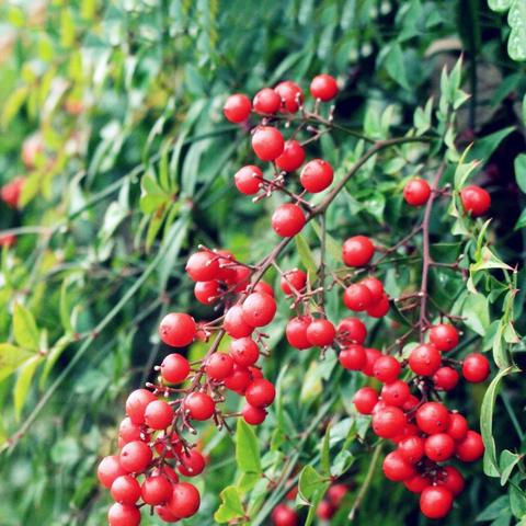 深度剖析：《天行健》残酷结局引发全民热议，是作家艺术手法还是对现实的绝望诠释？