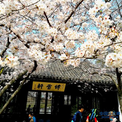 (三国杀ol互通版百度百科)三国杀OL互通版:跨平台在线对战,尽享策略战斗乐趣 (三国杀ol互通版百度百科)三国杀OL互通版:跨平台在线对战,尽享策略战斗乐趣