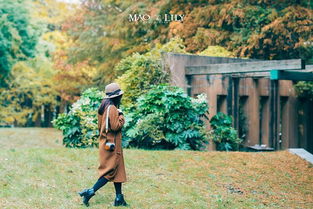 武义九州折相思:一场凄美动人的乡村故事,唤起心底深藏的乡愁情愫。 武义九州折相思:一场凄美动人的乡村故事,唤起心底深藏的乡愁情愫。