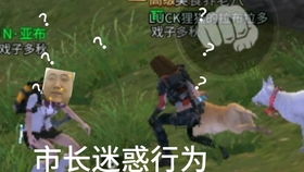 (鬼武者3攻略详图)鬼武者3完美版全程图文攻略：细致剖析关卡通过高效策略