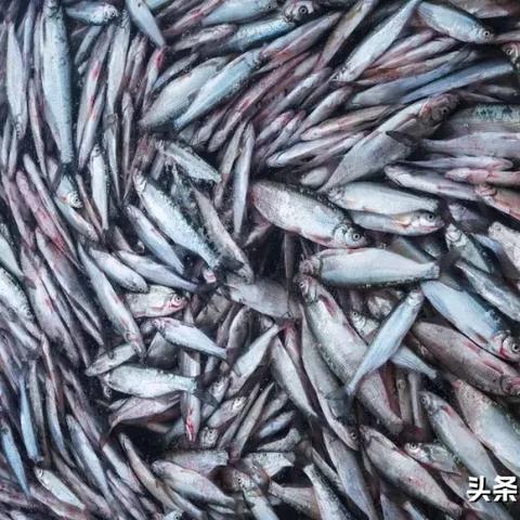 三国时期帮派名字大全，详细介绍三国时期所有帮派的名称和背景