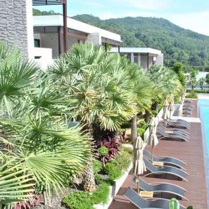 永恒岛战士技能搭配全攻略：如何组合技能提升战斗力与生存能力