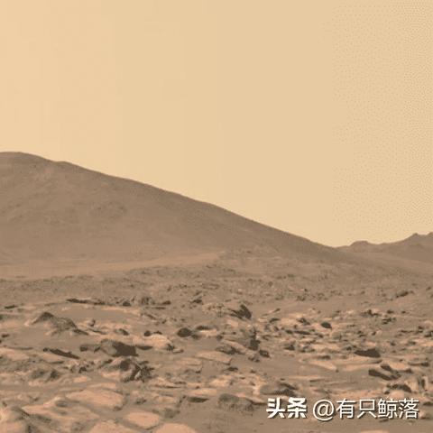 (指尖探索app)探索指尖战车2024官方正版手游的神秘世界