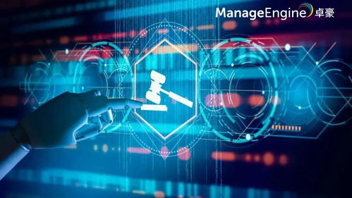 成为电脑监控专家，把握数据安全，守护网络稳定，提升工作效率