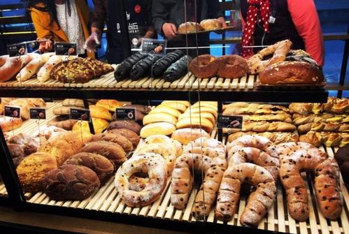 (逆向崩塌面包房行动)逆向坍缩面包房行动下载：解密神秘秘密组织的黑暗之谜