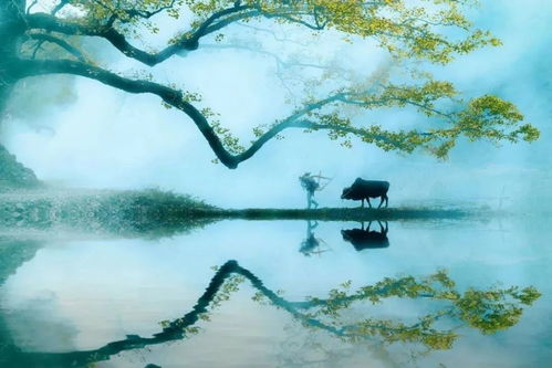 深度解析拆迁厂：从政策规定到实施步骤，全面剖析拆迁行业的发展趋势和瓶颈。