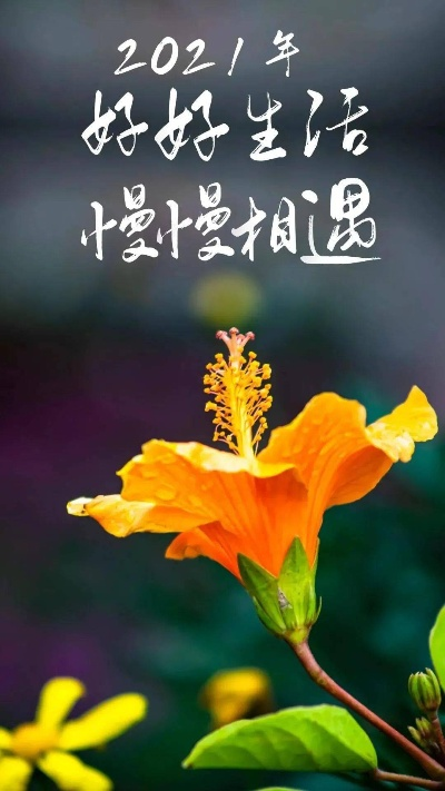 好好相遇，慢慢生活：用心感受每一个瞬间，珍惜每一次邂逅，享受每一天的宁静。