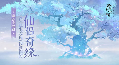 (此生无白玩法)此生无白还能玩吗？探讨人生的意义与追求的价值