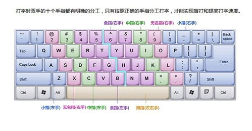 超实用的输入法修复器：快速解决电脑键盘输入问题，提升工作效率