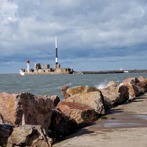 (妖怪王国)探讨妖怪国度桌游的乐趣：玩家评价及游戏特色详解