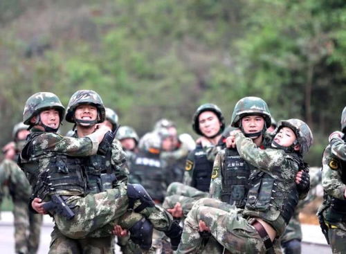 (攻坚特勤什么时候出)攻坚特勤国际版：探秘全球特种行动背后的秘密与挑战