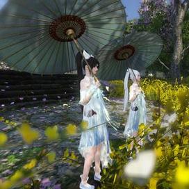 (猫咪庄园)探秘小猫猫庄园视频——与可爱小猫猫一起玩乐的乐园