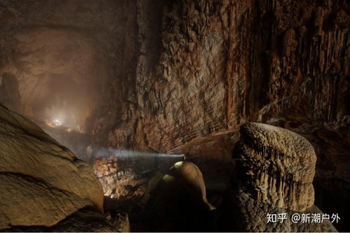 (坎 乐园入口)探险之旅：穿越坎乐丛林，揭秘神秘宝藏