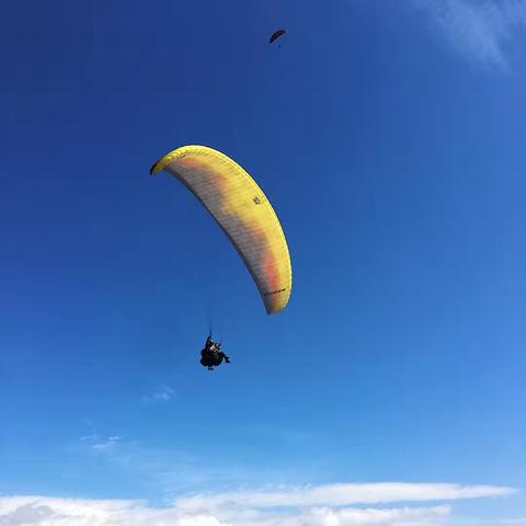 (畅游+有什么用)畅游永恒国度，无弹窗畅读笔趣阁，享受无干扰的阅读体验