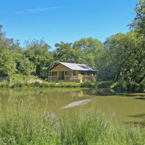 (自由者平台)探寻自由之路：自由者汽车俱乐部引领你开启自由漫游之旅