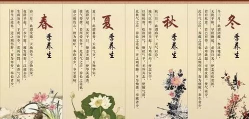 探究传统中医理念: 缘何'天门冬'能健身养生，被誉为'服食成仙'的神奇灵草