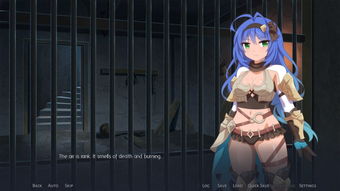 希尔兰斯战记剧情第二章：战火蔓延，命运转折，信任考验下的孤胆卫士们如何应对？