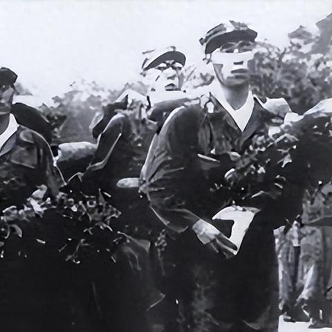 (一个特种小队有什么配置和装备要求)一个特种小队有什么配置和装备？