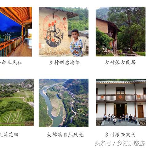 探索无尽乐趣：花田小院无限金币花瓣内购版，体验无限制购买独特乐趣的新游戏模式