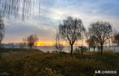 (薄雾风景)探秘神秘仙境：薄雾笼罩下的神奇场地及其奇幻之美