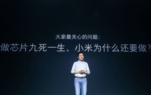 追求卓越，无悔华夏：vivo版的科技革命与中国文化精神及水平的共生发展