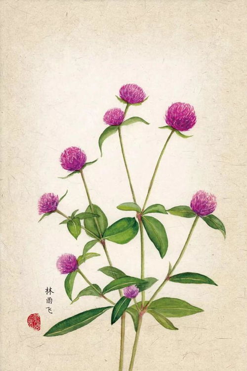 (思仙中药有什么作用)探索思仙雄花的独特功效与作用：促进健康与美丽的新选择