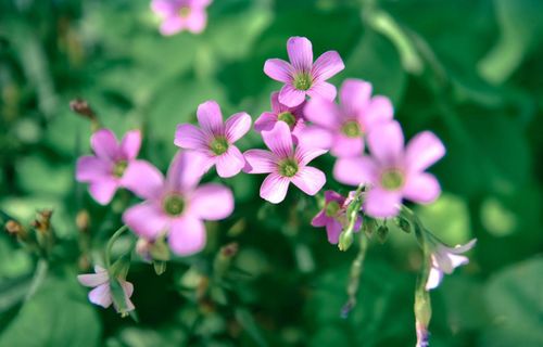 (袋中袋什么意思)袋中爱：在生活的点滴中携手共度每一个温馨时刻