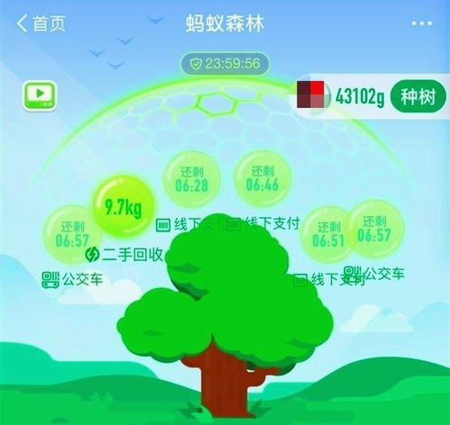 深度揭秘：老农种树星座收集攻略，全面解读不同季节、时间与地理条件下的星空观测技巧