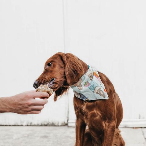 如何解除电脑屏幕锁屏？五种简便方法让您快速解决电脑屏幕锁屏问题!