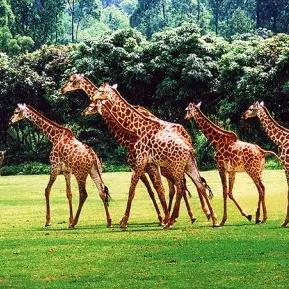 魔兽大冒险现已更名为《魔兽世界：探索之旅》，带你重返那个熟悉的魔幻世界