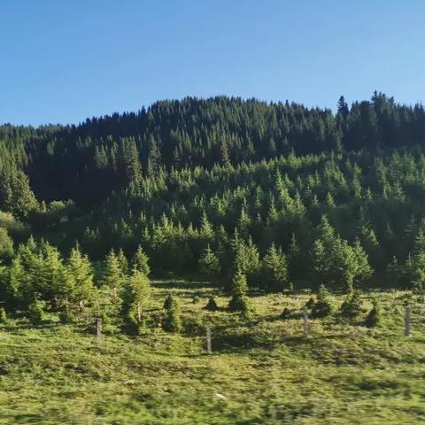 (17资质以内最适合培养的异兽)深度解析17种资质最强的异兽推荐，助你在战斗中取得优势！