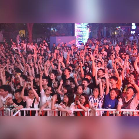 (夏日狂想曲+ v2.02dlc)夏日狂想曲2.0汉化版玩法大揭秘，带你领略全新游戏乐趣