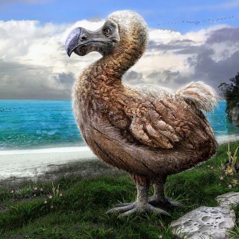 漂移风暴单机版：畅享极限驾驶体验，感受极速漂移的快感与挑战