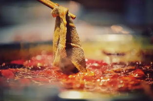 (火锅的爱情)在火锅的热情中绽放：火锅恋人之间的温暖与默契短文