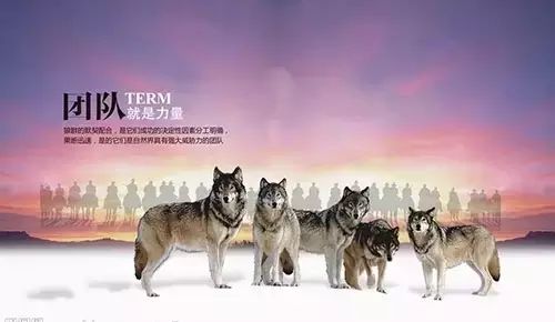 (佣兵阵容怎么玩)佣兵冲冲冲阵容：打造最强作战团队，战无不胜！