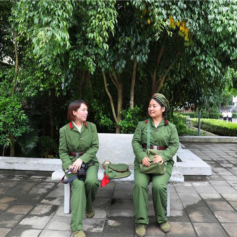 梦里芳华是指什么？解读梦境中芬芳与青春的象征意义