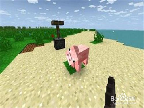 (生存之战中文版)生存之战百度云盘：如何在数字世界的挑战中生存和抗衡？